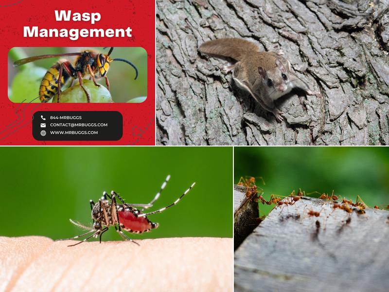 Mr Bugg's Pest Patrol, Inc