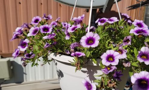 Robert Kenimer - State Farm Insurance Agent