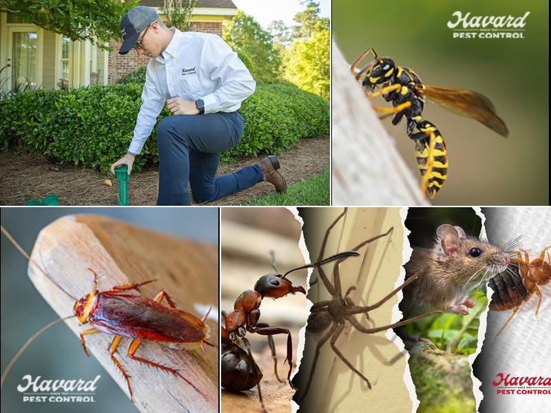 Havard Pest Control