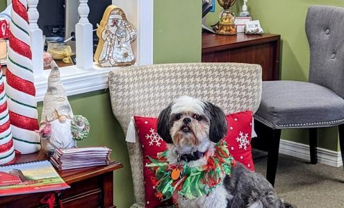 Brenda Simkins - State Farm Insurance Agent