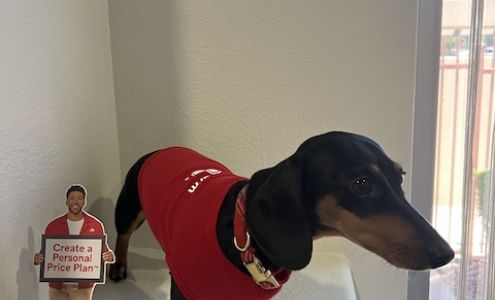 Steve Fair - State Farm Insurance Agent