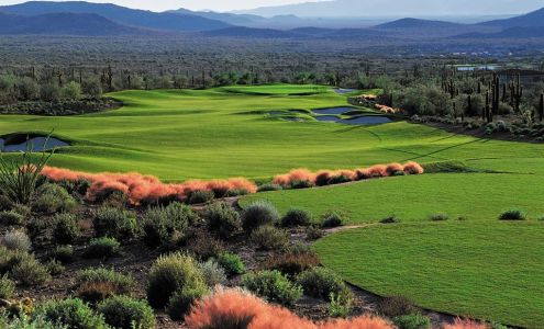 Daisy Dream Homes Real Estate LLC