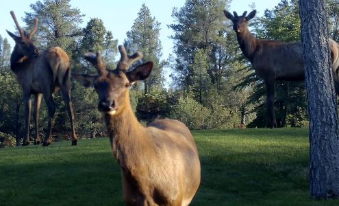 Susan Slenk, Triple Creek Realty