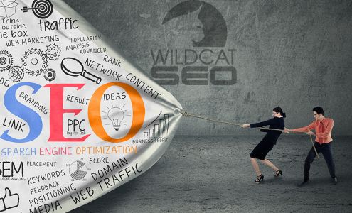 Wildcat SEO