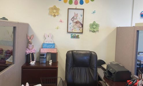 Steve Heins - State Farm Insurance Agent