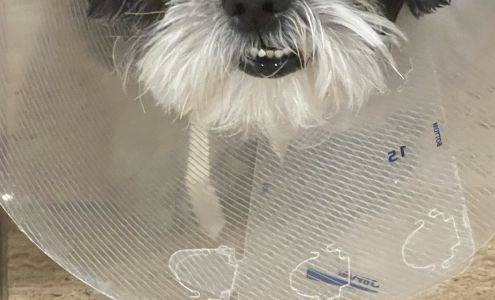 Eye Care for Animals - Ft. Lowell