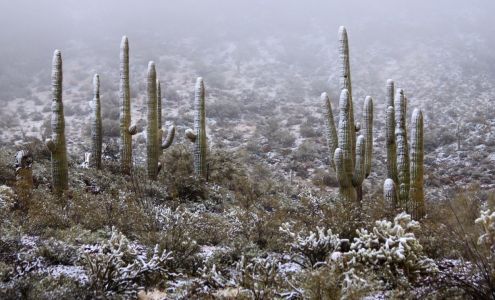 Braden Medicare Insurance