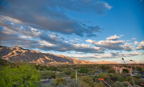 The Legends at La Paloma