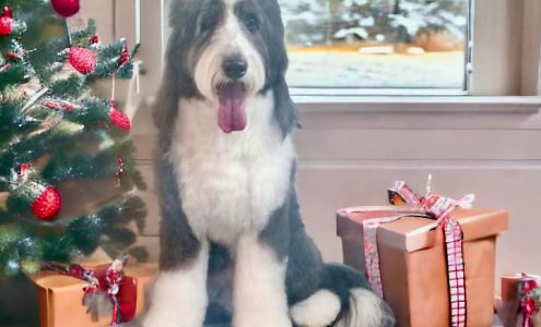 Courtny Tyler - State Farm Insurance Agent