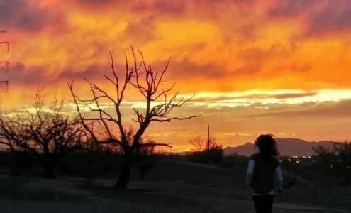 Rio Grande Insurance/ Arizona