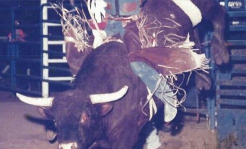 Mark Gregory Olguin - State Farm Insurance Agent