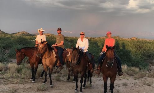 Stu Lewis - State Farm Insurance Agent