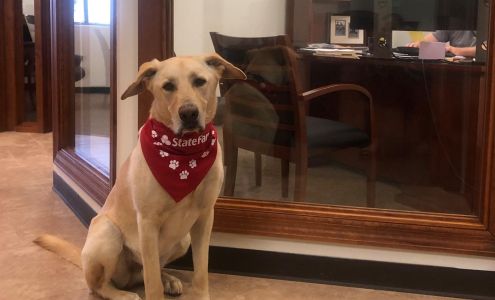 Greg McAlpin - State Farm Insurance Agent