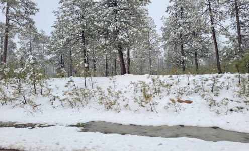 Farmers Insurance - Lucrecia Vargas