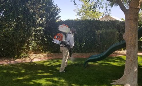 Bug Guardian Pest Prevention 2123 S Priest Dr Suite 213, Tempe Arizona 85282