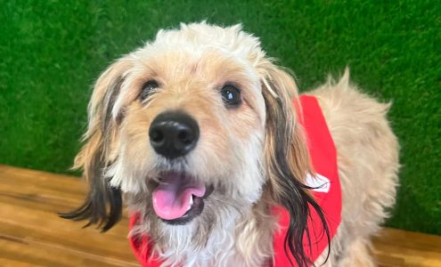 Anthony Smith - State Farm Insurance Agent