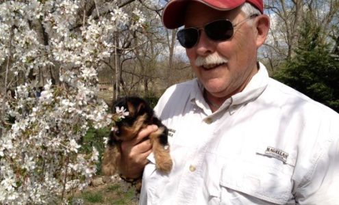 Tommy Hagan - State Farm Insurance Agent