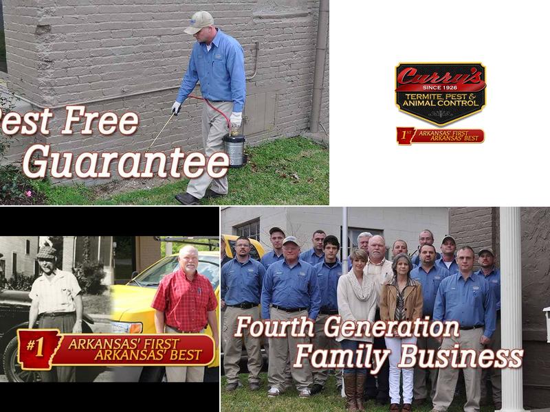 Curry’s Termite, Pest & Animal Control