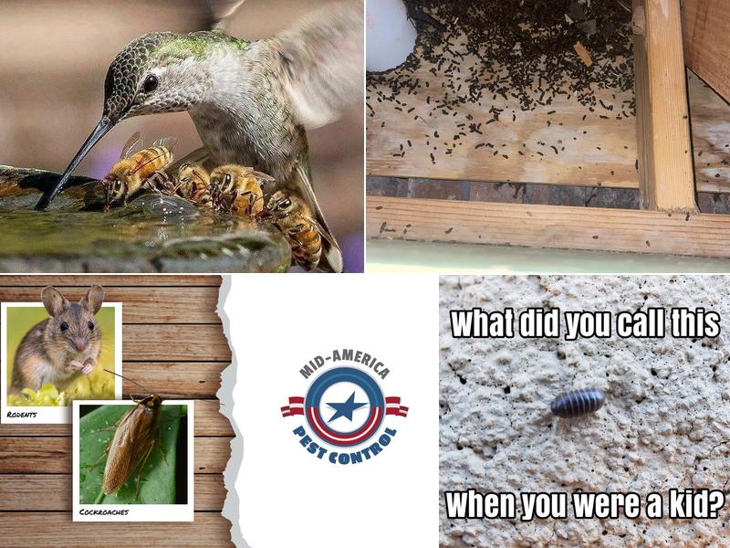 Mid America Pest Control