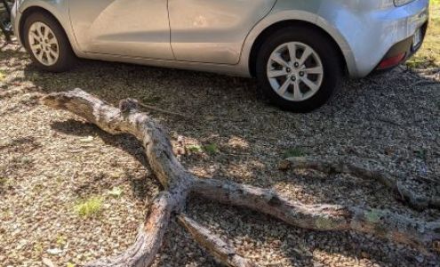 Kevin Sorg - State Farm Insurance Agent