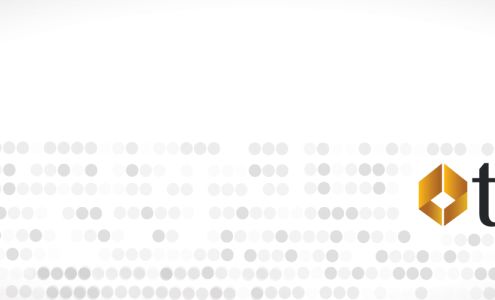 TransConnect Services