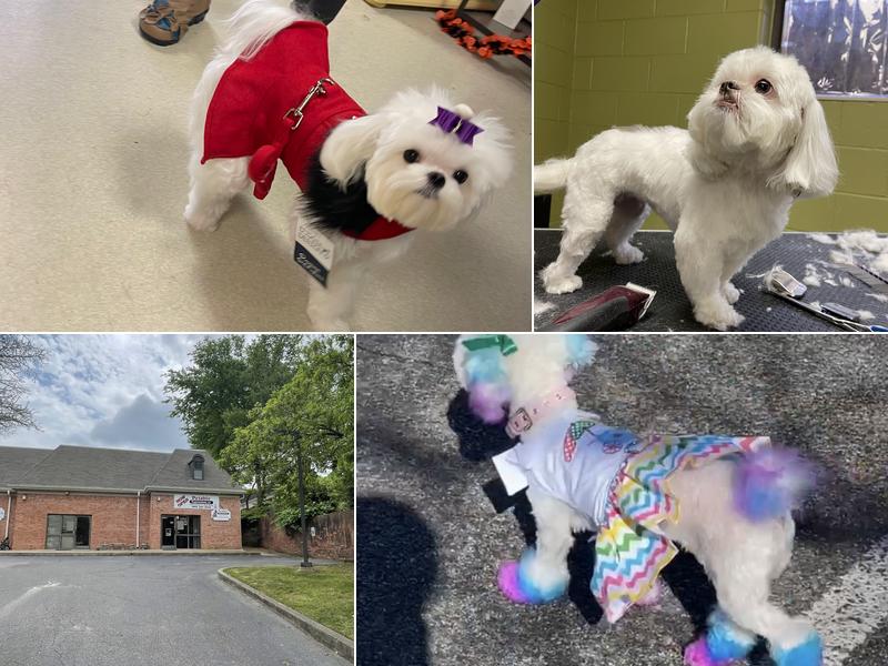 Petable Expressions LLC