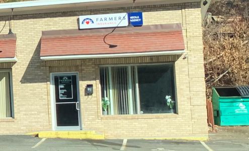 Farmers Insurance - Christian Meola