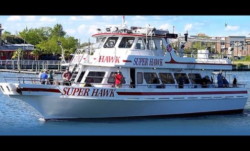 Super Hawk Point Lookout