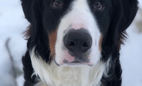 Starling Physicians: Michael Deshaies, DO