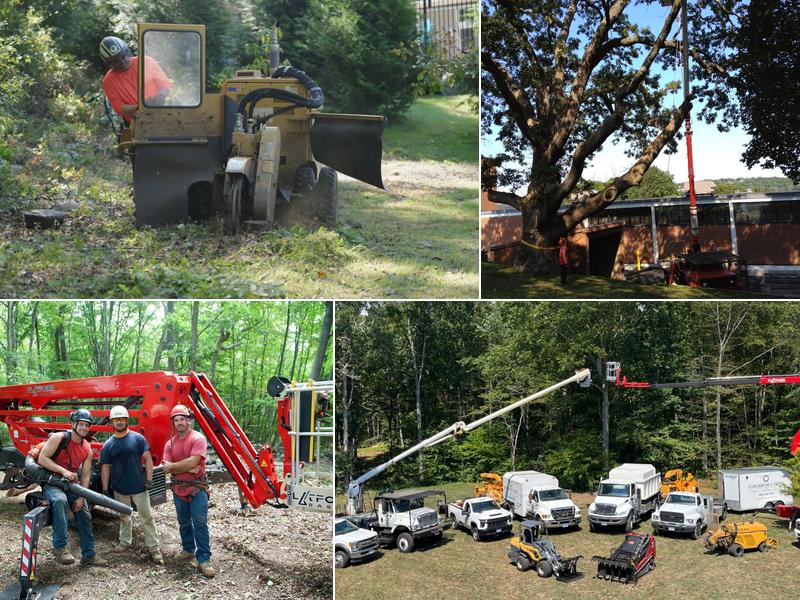 TOMORROW'S TREES, LLC