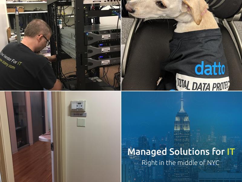 Delaney Computer Services Inc.