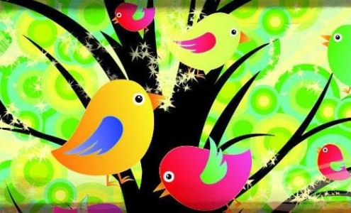 Early Bloomers Day Care