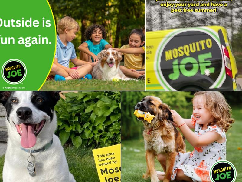 Mosquito Joe of Northern Virginia