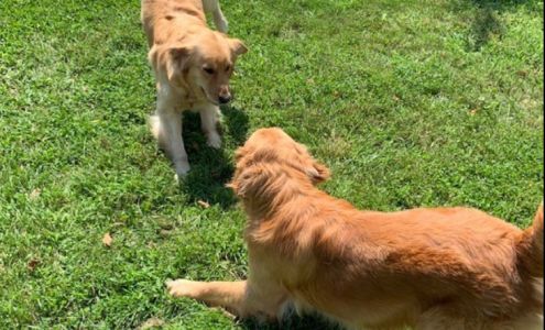 Tim Trimble - State Farm Insurance Agent