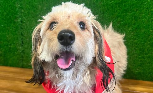 Tara McDonald - State Farm Insurance Agent