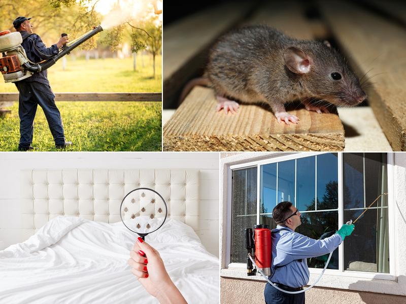 Modern Exterminating & Termite Control Co