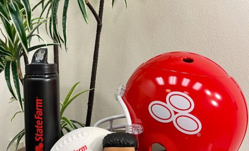 Bill Burris - State Farm Insurance Agent