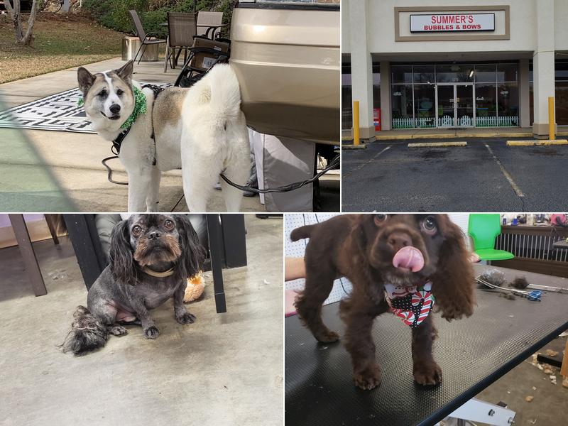 Summer's Bubbles & Bow's