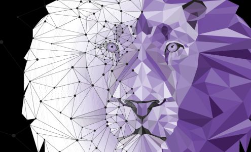 Future Psych Solutions