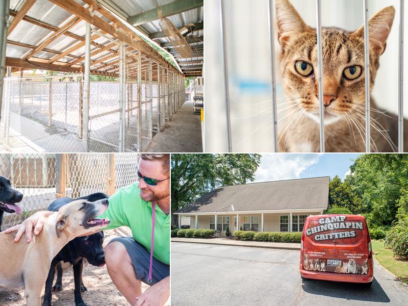 Camp Chinquapin for Critters