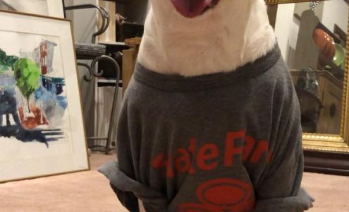 State Farm Insurance