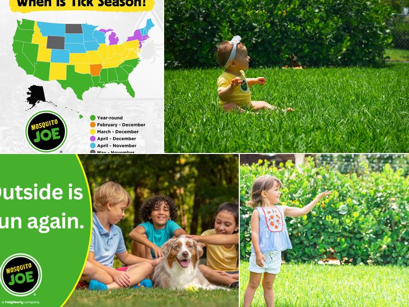 Mosquito Joe of Lake Murray