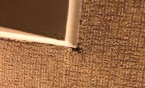 Bob's Carpet & Flooring