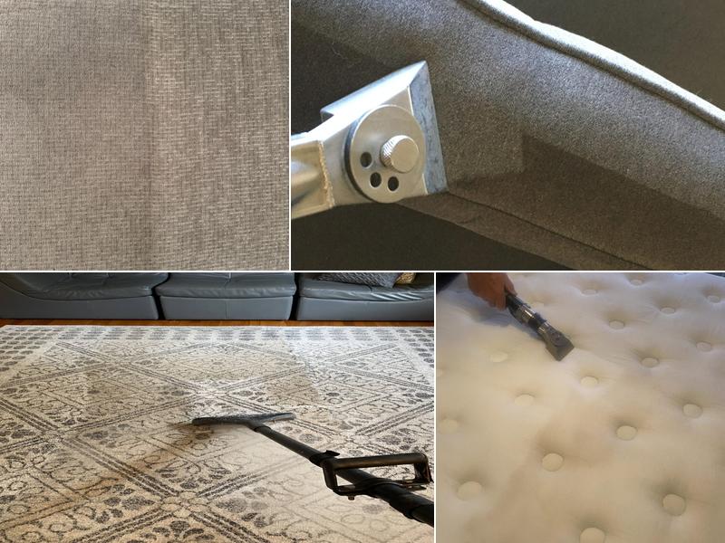Dynamic Steam Carpet Cleaners