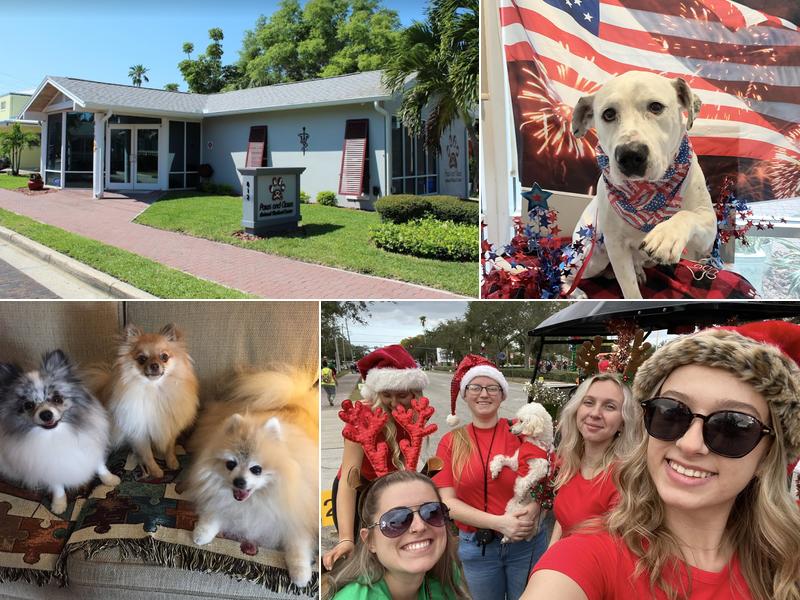 Paws and Claws Animal Medical Center - Dunedin