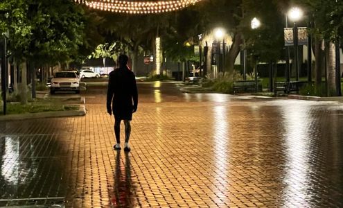 Maitland City Centre