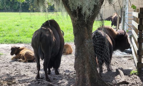 Winter Garden Grassing Inc