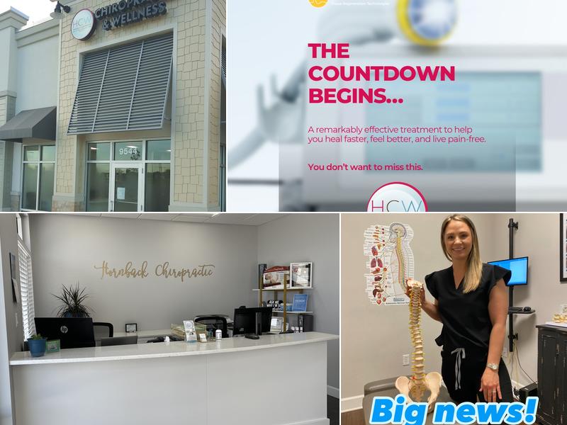 Hornback Chiropractic and Wellness, P.A.