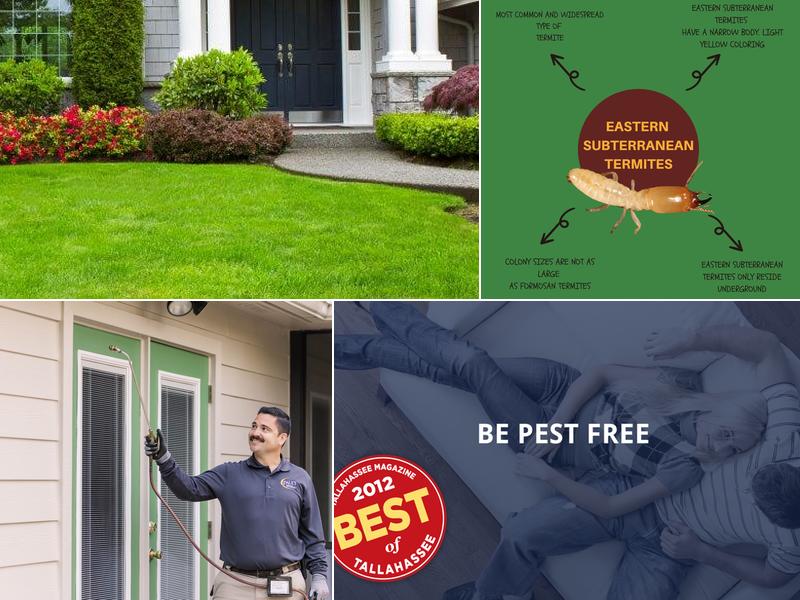 Paul's Termite & Pest Control