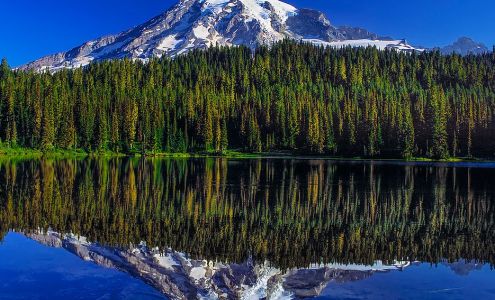 Albert Barg Photography